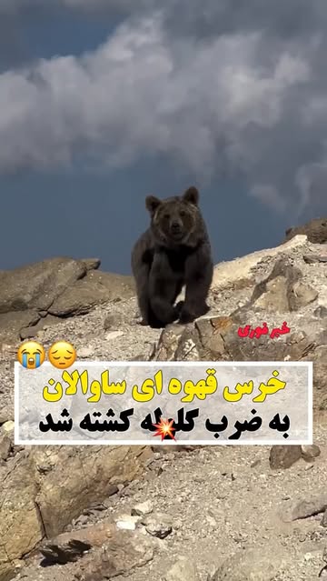پست اینستاگرام DcWAIp2oLXB