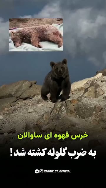 پست اینستاگرام DcWLuqVs1uZ