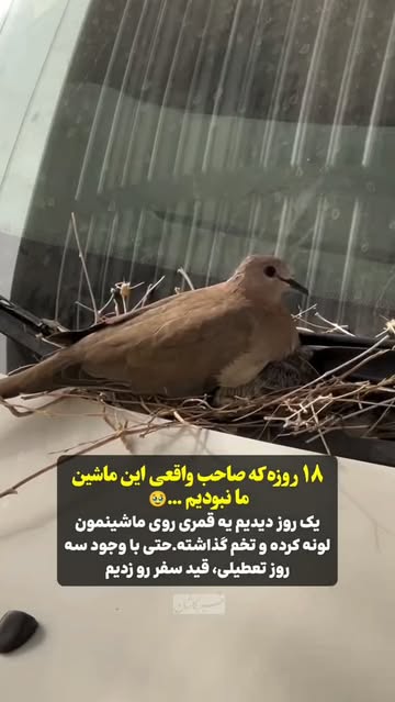 پست اینستاگرام DcX8ftLo736