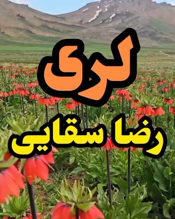 پست اینستاگرام DcY6VNpEWz7