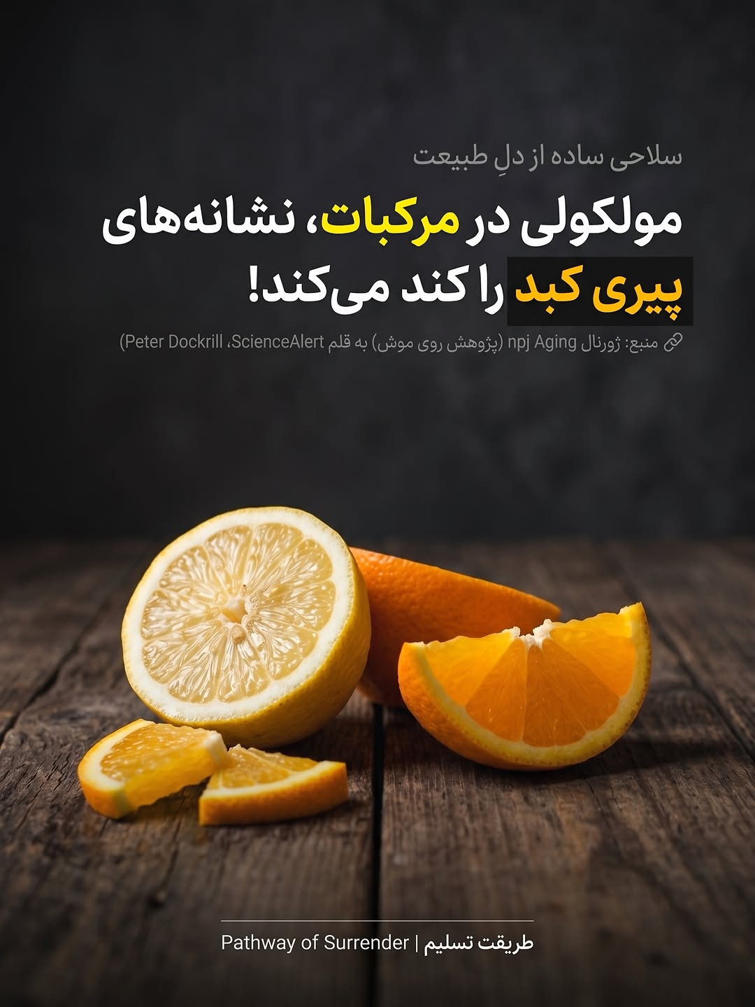 پست اینستاگرام DcYAiwzifI1