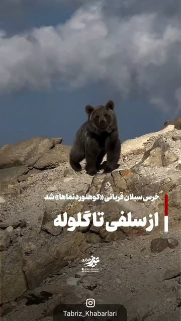 پست اینستاگرام DcYBXGnOKQp