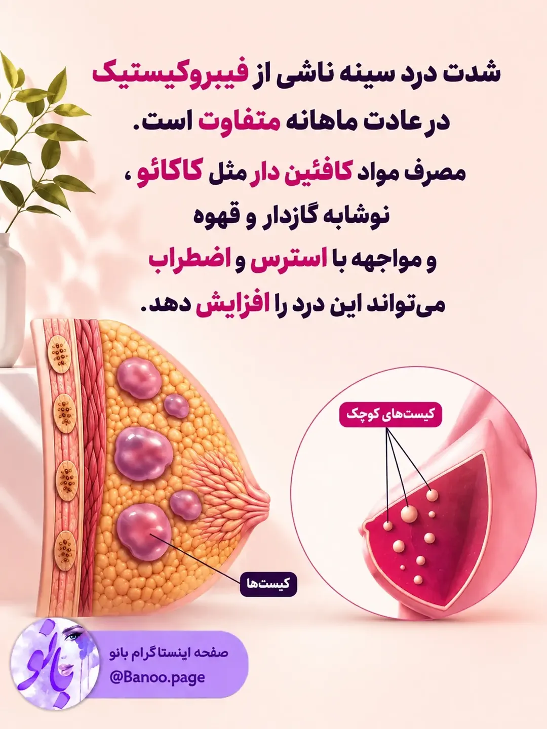 پست اینستاگرام DcYFwhXO6dc