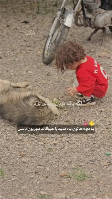 پست اینستاگرام DcYGPToo2Qh