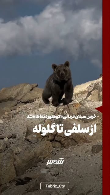 پست اینستاگرام DcYHei7uWYE