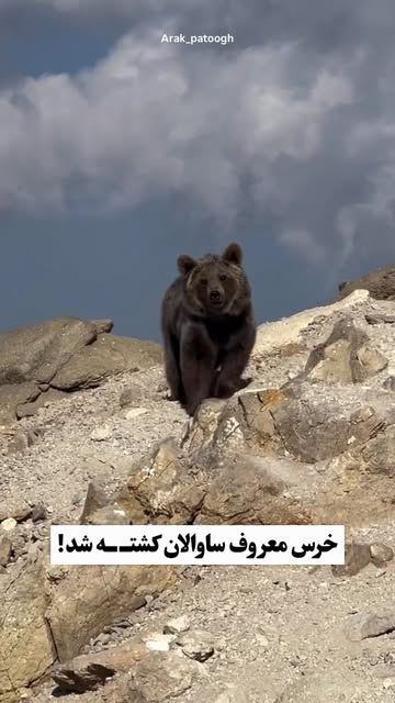 پست اینستاگرام DcYK0Sfuasy