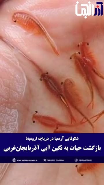پست اینستاگرام DcYNjiLtwoP