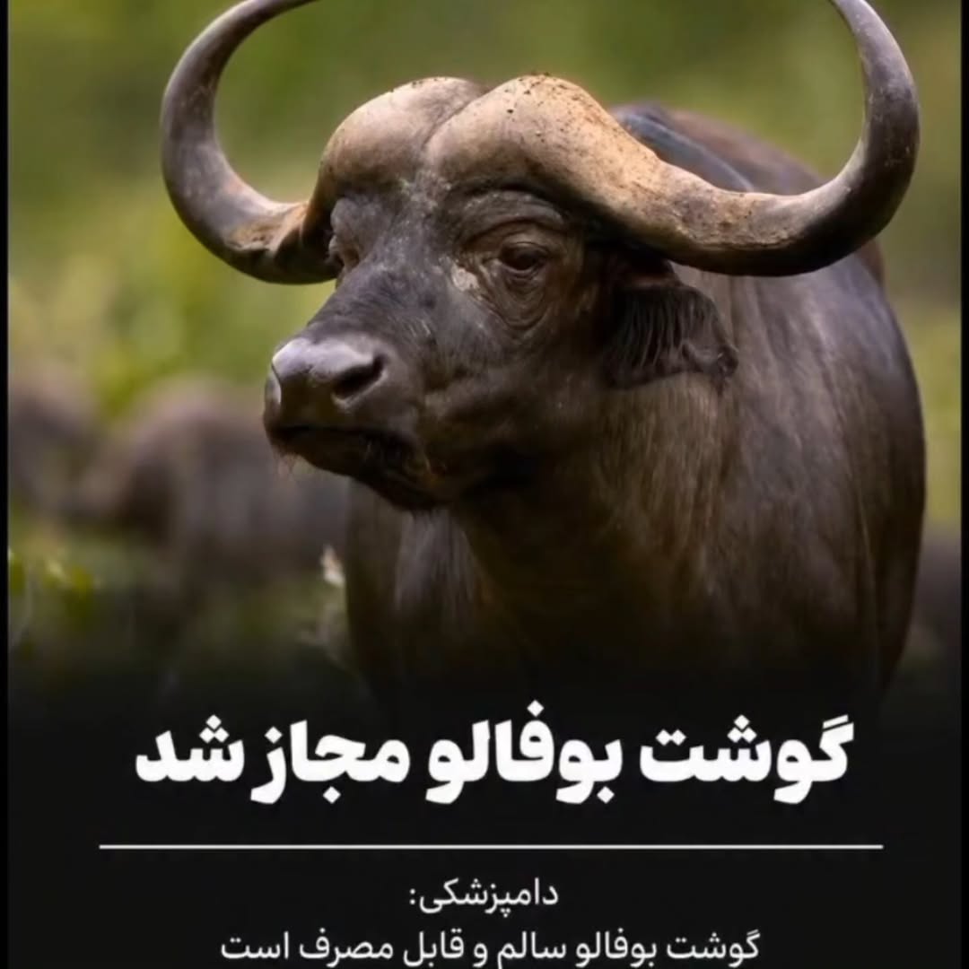 پست اینستاگرام DcYSpsANfjA
