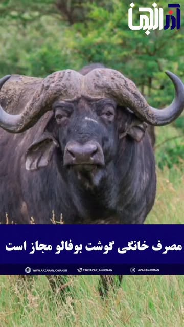 پست اینستاگرام DcYTI-ptfz5