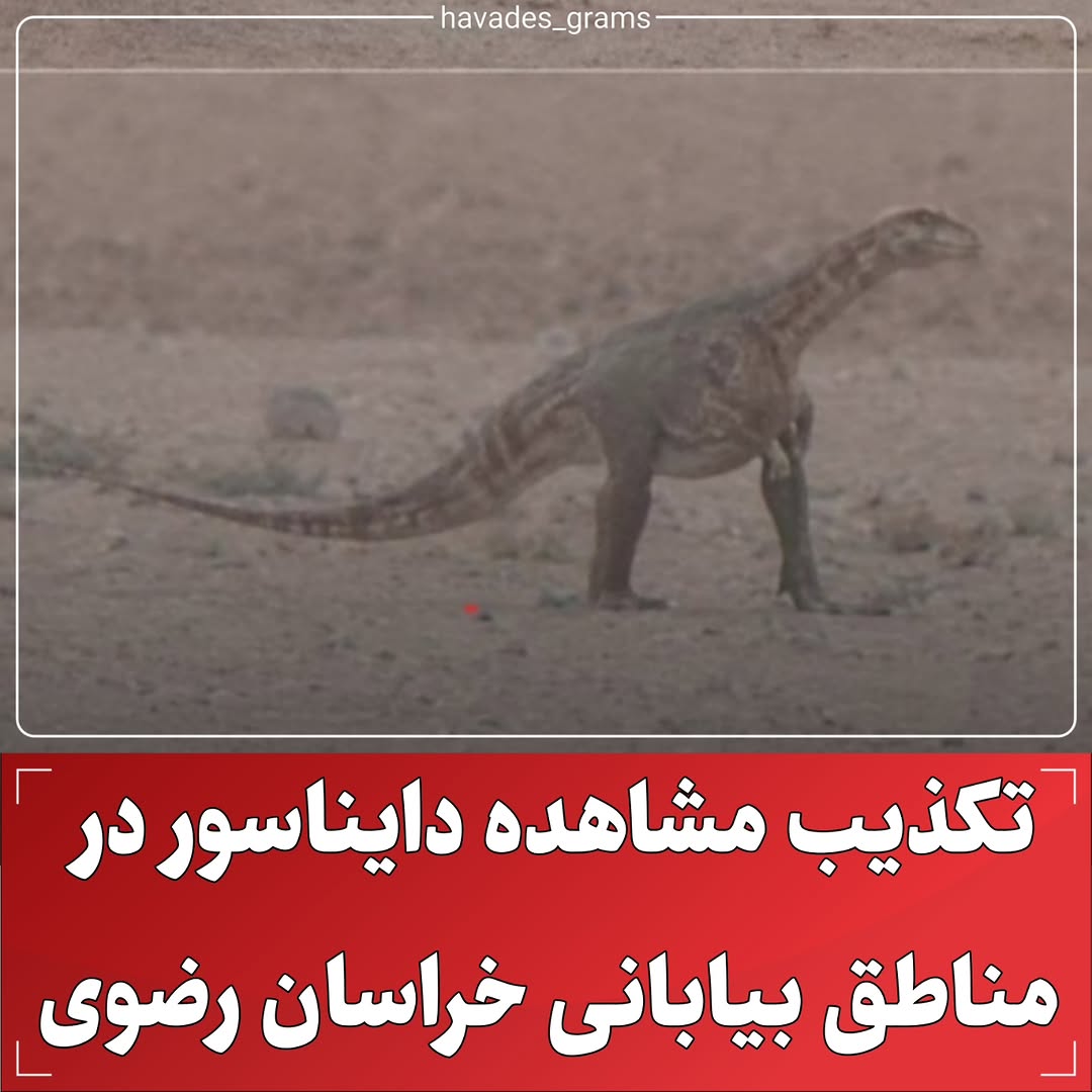 پست اینستاگرام DcYW-rnN1aV