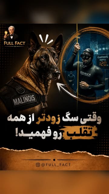 پست اینستاگرام DcZBRI2NW1c