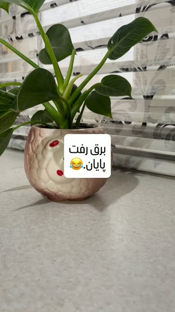 پست اینستاگرام DcZIaGbuD4z
