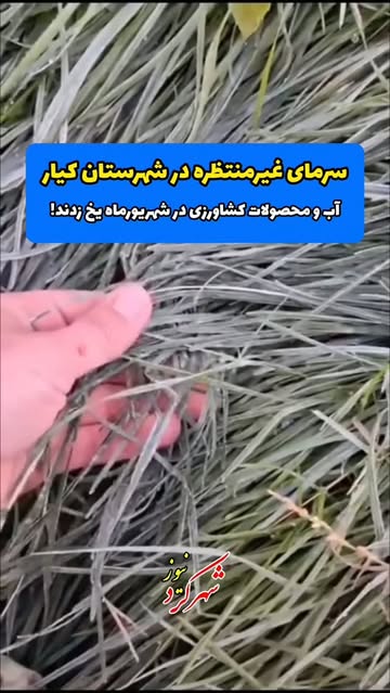 پست اینستاگرام Dc_Bq34IqZS