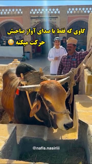 پست اینستاگرام Dc_psnNtglJ