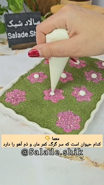 پست اینستاگرام Dc_xJb5OeQu