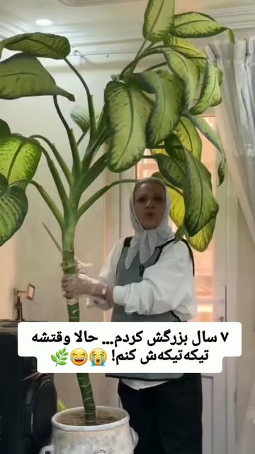 پست اینستاگرام Dca-GTUNqJ8