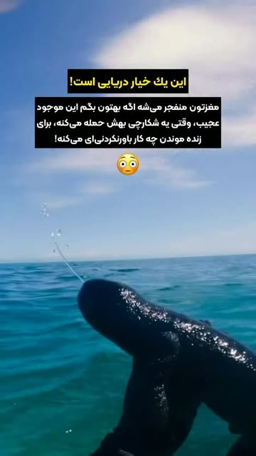 پست اینستاگرام Dca0yXOuUPB