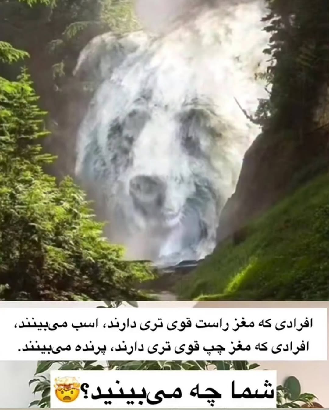 پست اینستاگرام Dcam30zx33z
