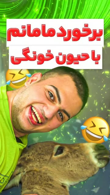 پست اینستاگرام DcbcI6ToQ7G