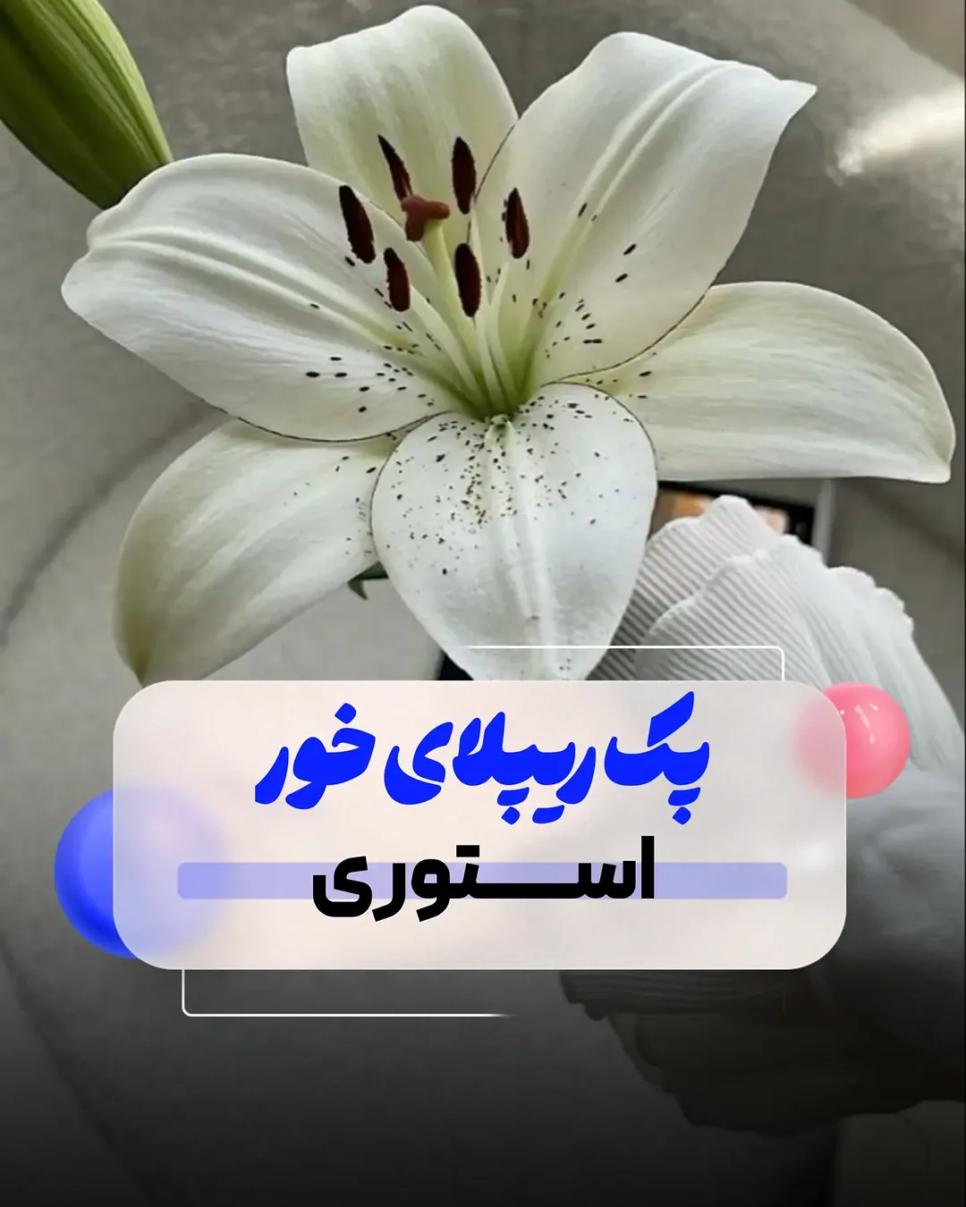 پست اینستاگرام DcbgJo5Da46