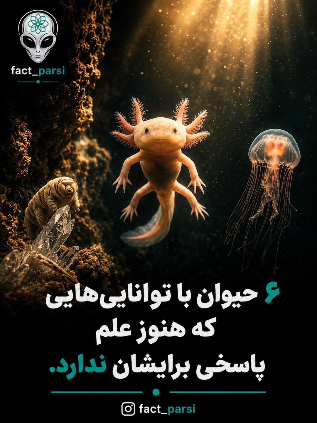 پست اینستاگرام Dcbl_ayjZMn