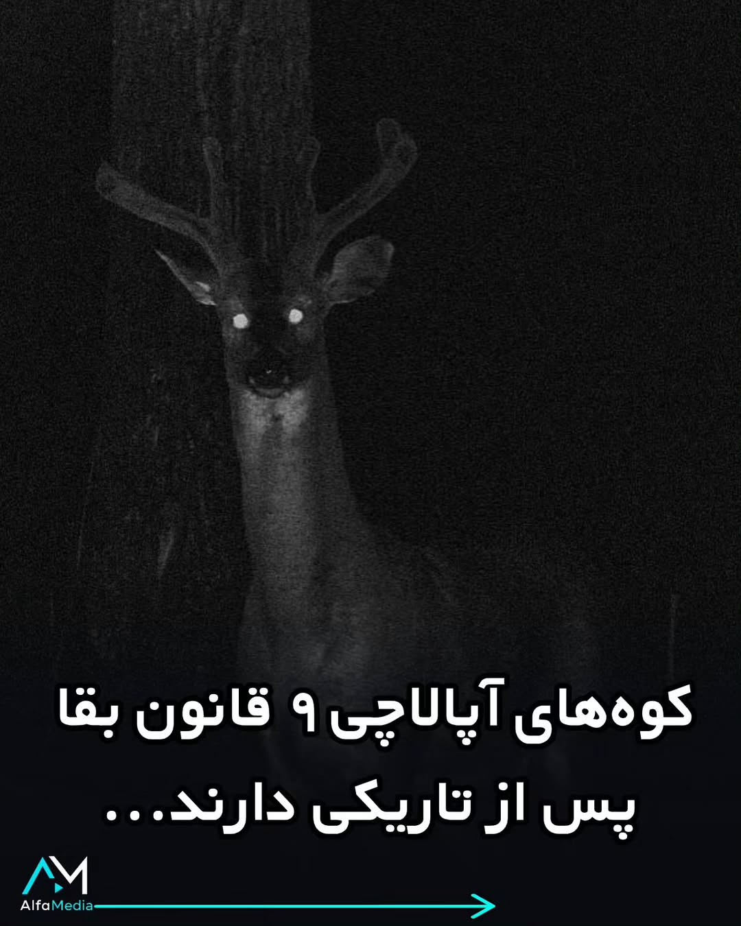 پست اینستاگرام DcbxDuwDUJu