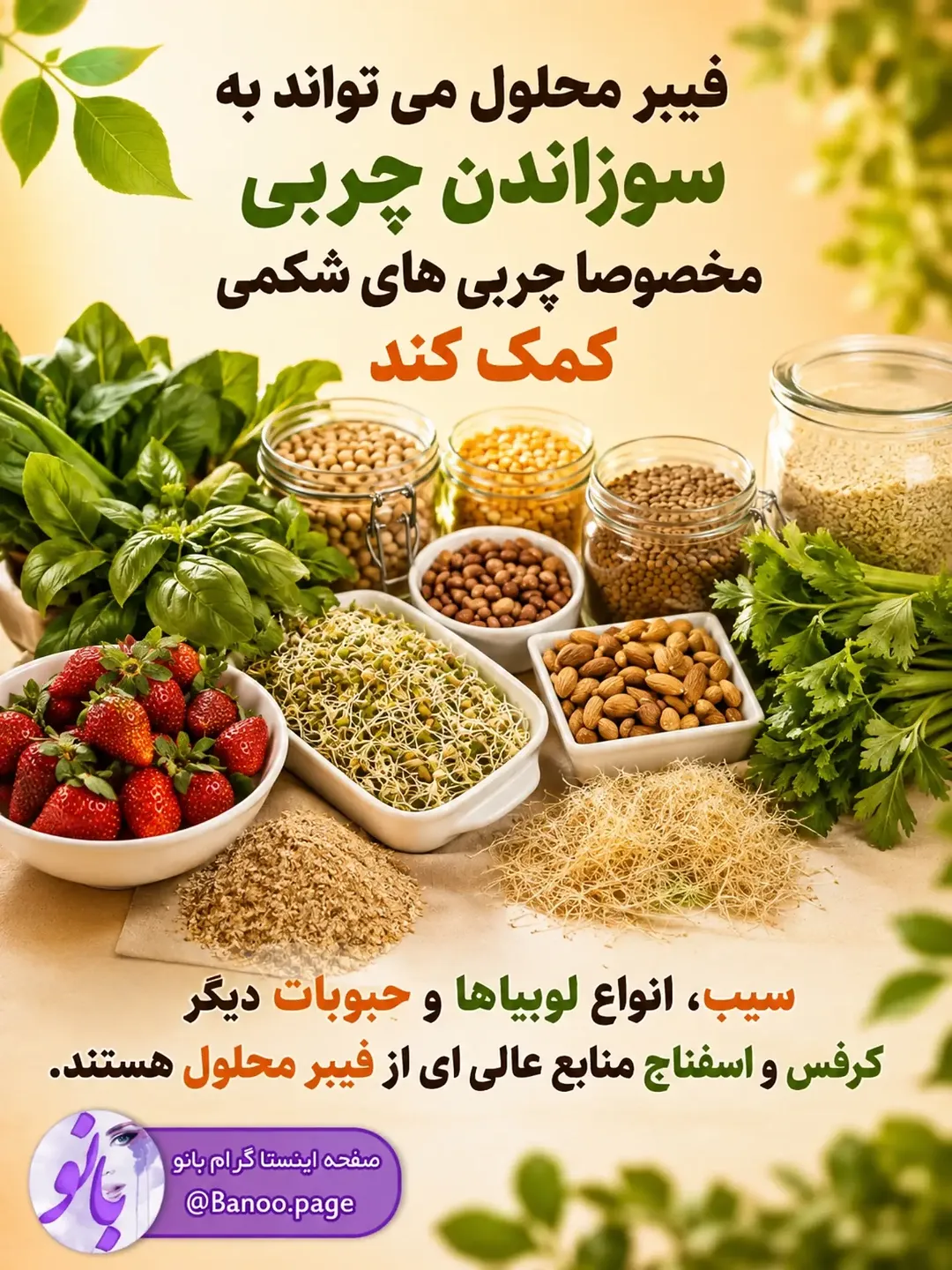پست اینستاگرام DcdEC9zuW3N