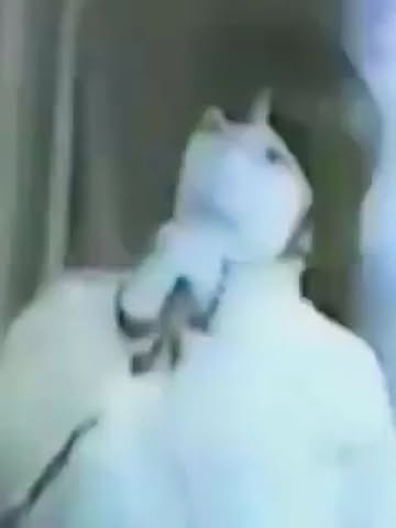 پست اینستاگرام DcdLZW6EVL1