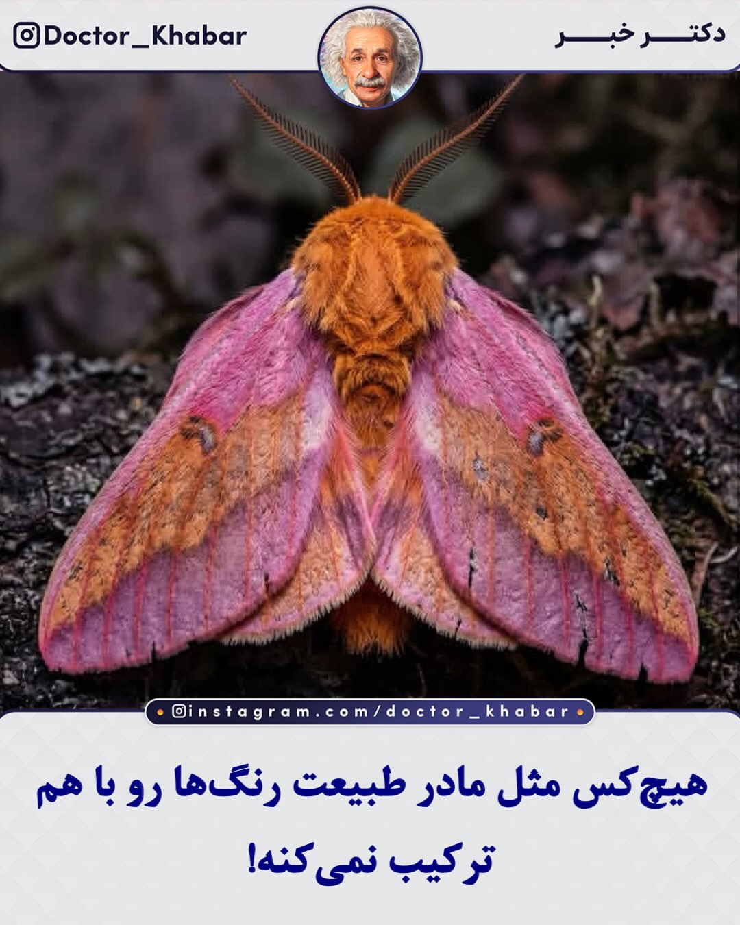 پست اینستاگرام DcdRuJ0l7eB