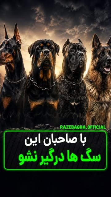 پست اینستاگرام DcdSCb3C5nD