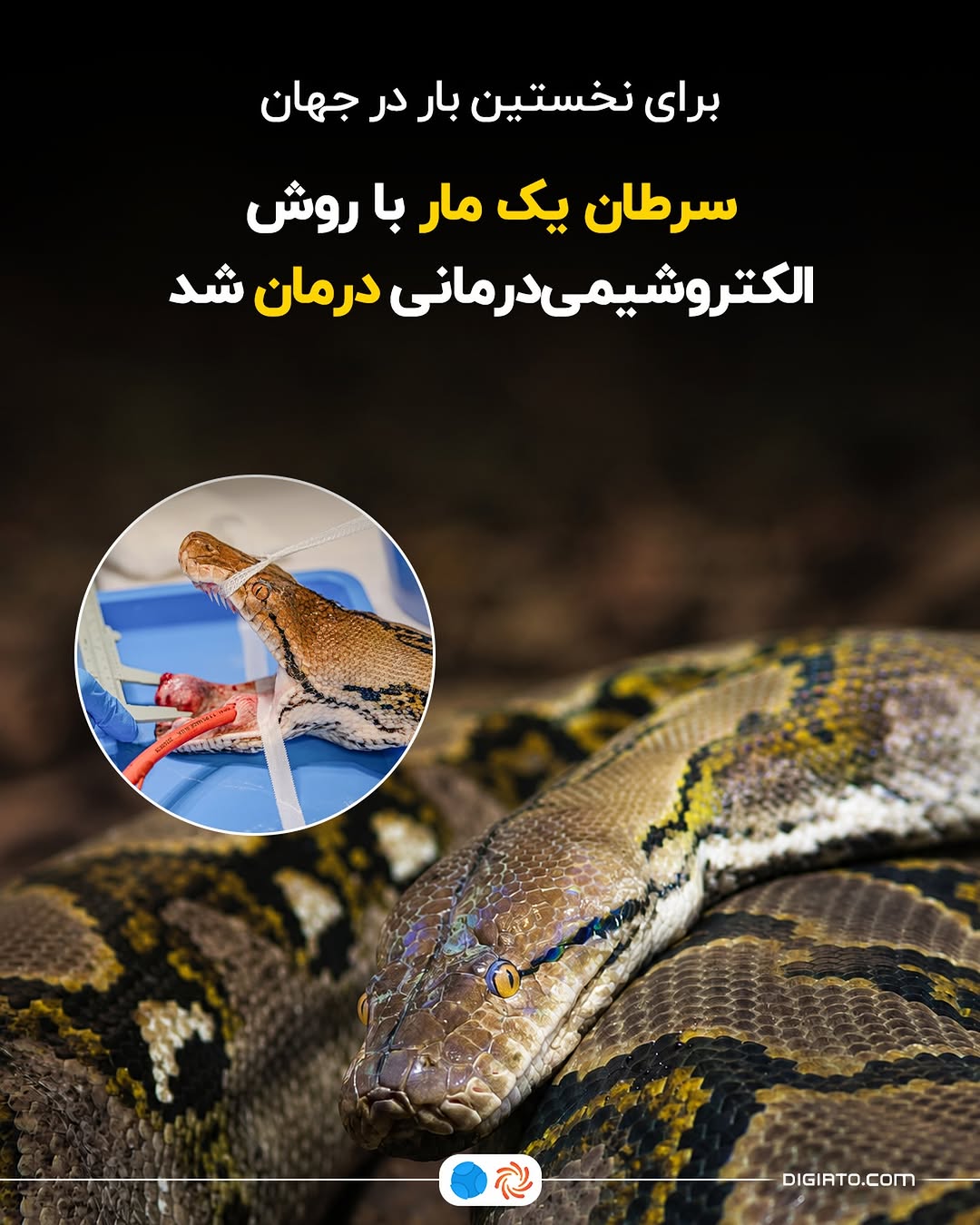 پست اینستاگرام DcdqsTyM3wk