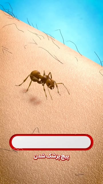 پست اینستاگرام DceBk8qMbjd