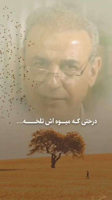 پست اینستاگرام DceHq8zIdXL