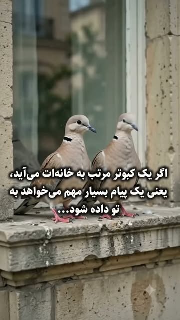 پست اینستاگرام DcfyV0bIFMa