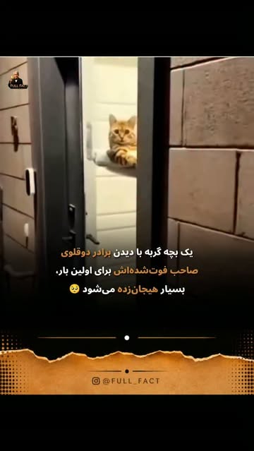 پست اینستاگرام DcgqgjTtCuC