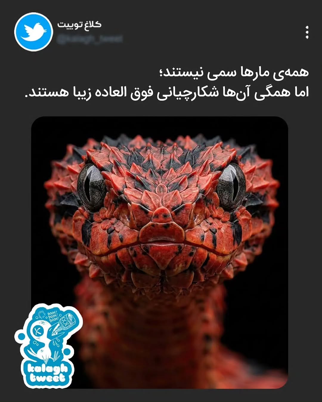 پست اینستاگرام DchBWuZDsNv