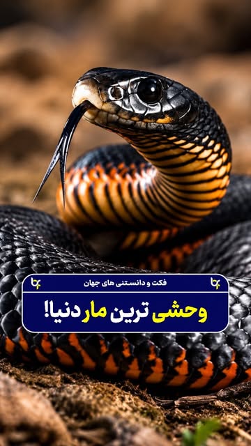 پست اینستاگرام DchCDxixw-Y