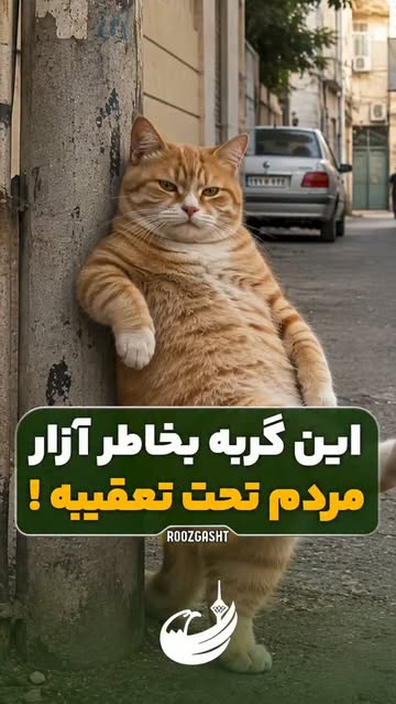 پست اینستاگرام DcjVBnrg-Gb