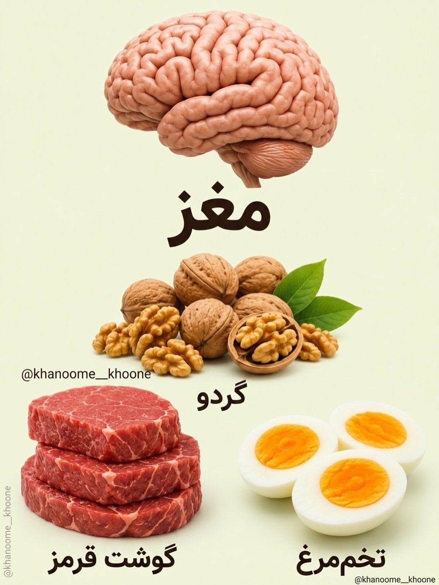 پست اینستاگرام Dck3EI6lXyP