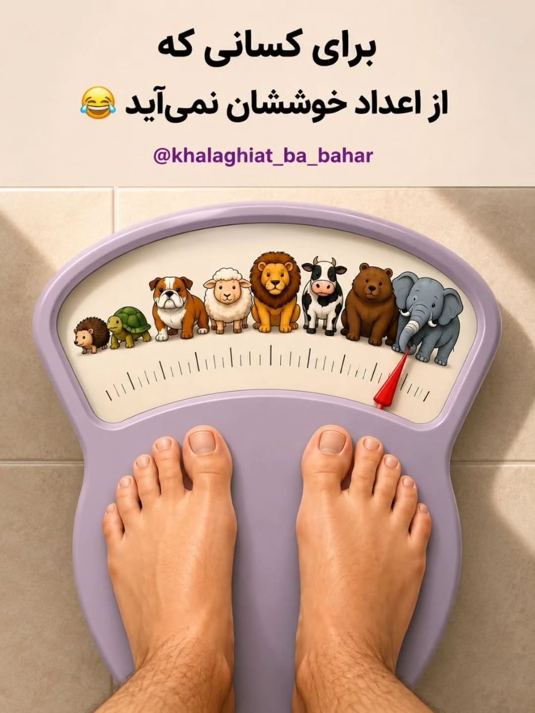 پست اینستاگرام Dcl-GM1t5Oa