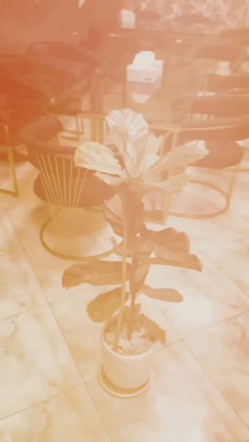 پست اینستاگرام DclFl54MQQu