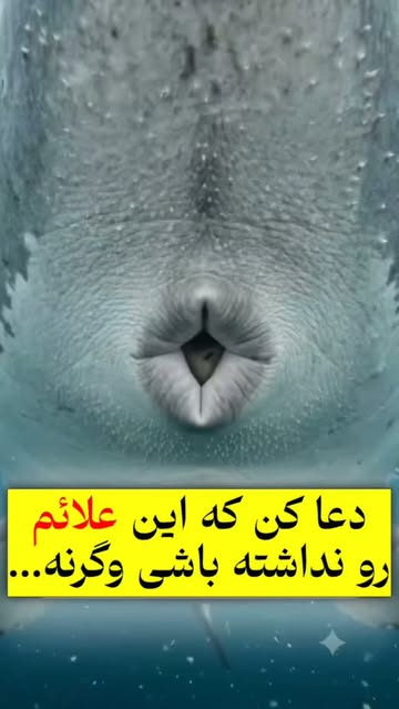 پست اینستاگرام DcmGJ0KqIMx