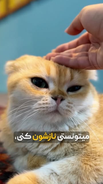 پست اینستاگرام DcmIlHBqnmV