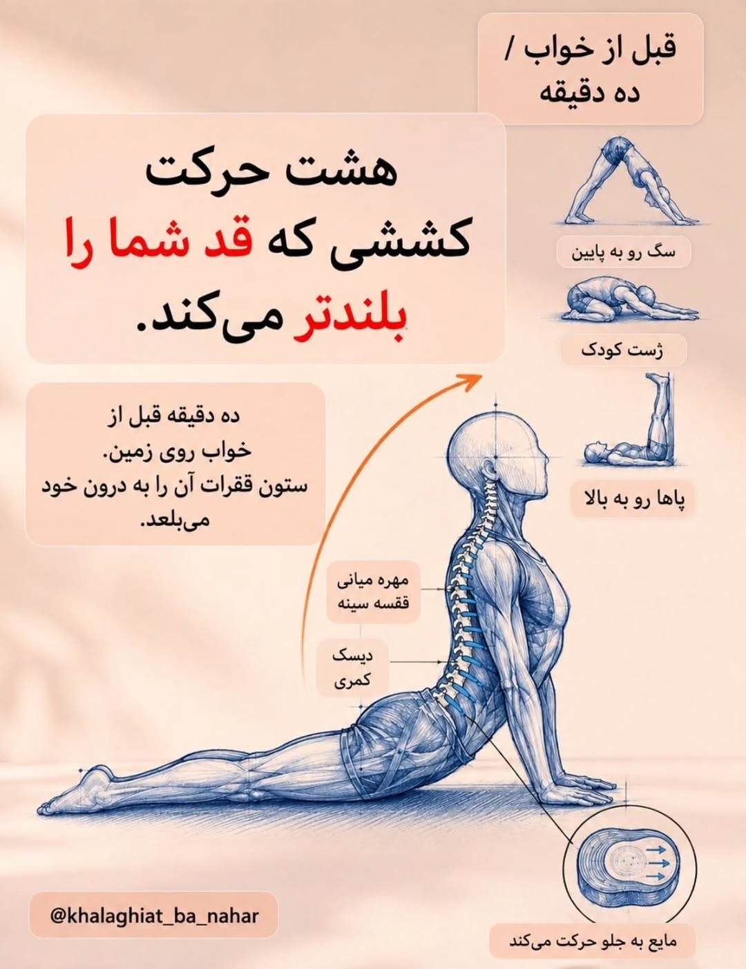 پست اینستاگرام DcnQW2sDTcw