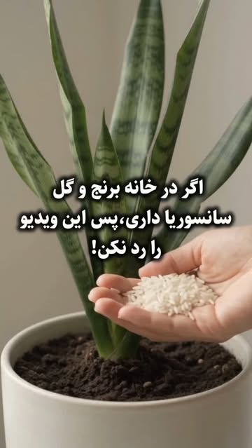 پست اینستاگرام DcnkIJ3IRM0