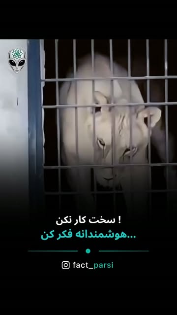 پست اینستاگرام DcqyORuMV86