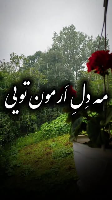 پست اینستاگرام DcrCmBLtXY-