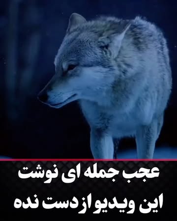 پست اینستاگرام DcrX6rGjNeg
