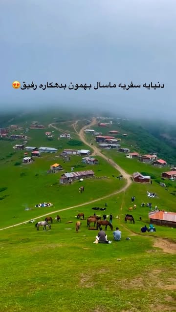 پست اینستاگرام Dcs2kkssXfp