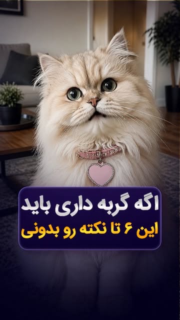 پست اینستاگرام DcsjtULugFK
